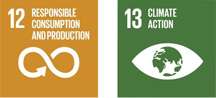 sdg 12 and 13